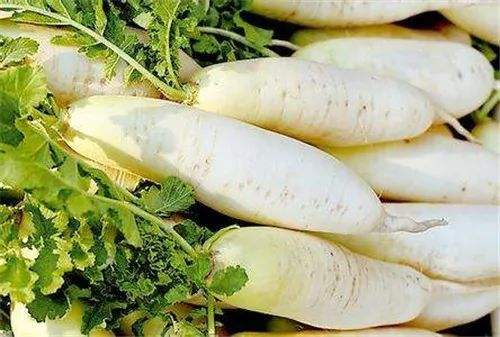 防治蘿卜黑腐病的特效農(nóng)藥