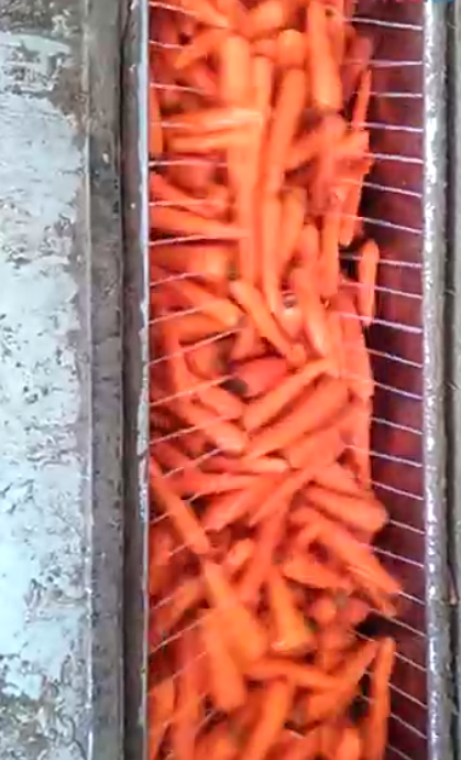 農戶胡蘿卜清洗機工作視頻